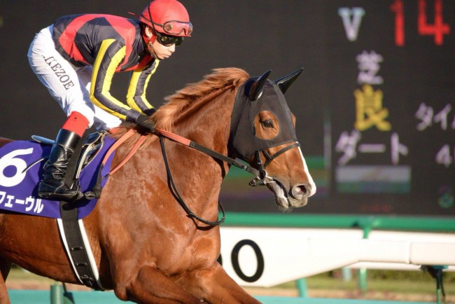 中央競馬の騎手・ジョッキー