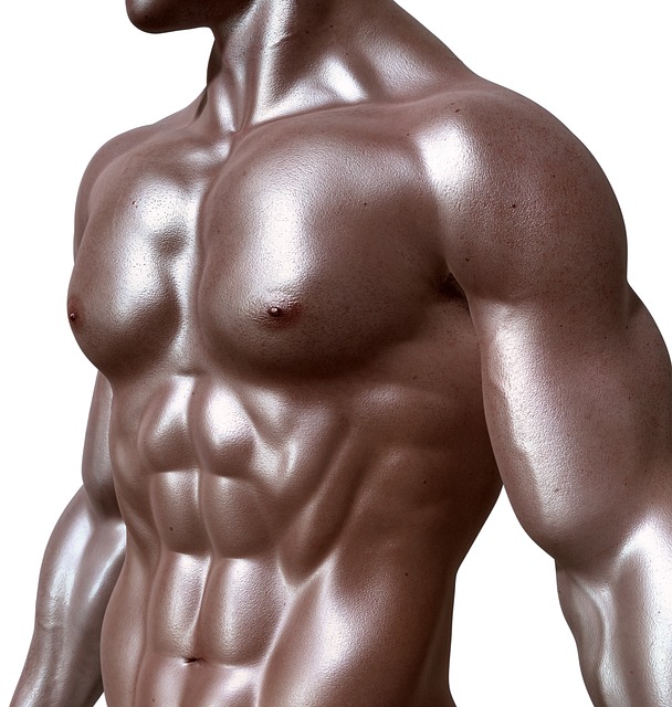 bodybuilder-331670_640