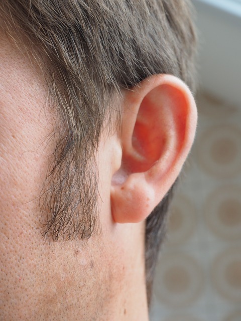 ear-1355652_640