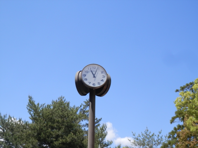 初デートを成功に導く 時間 の決め方 Light Up ライトアップ