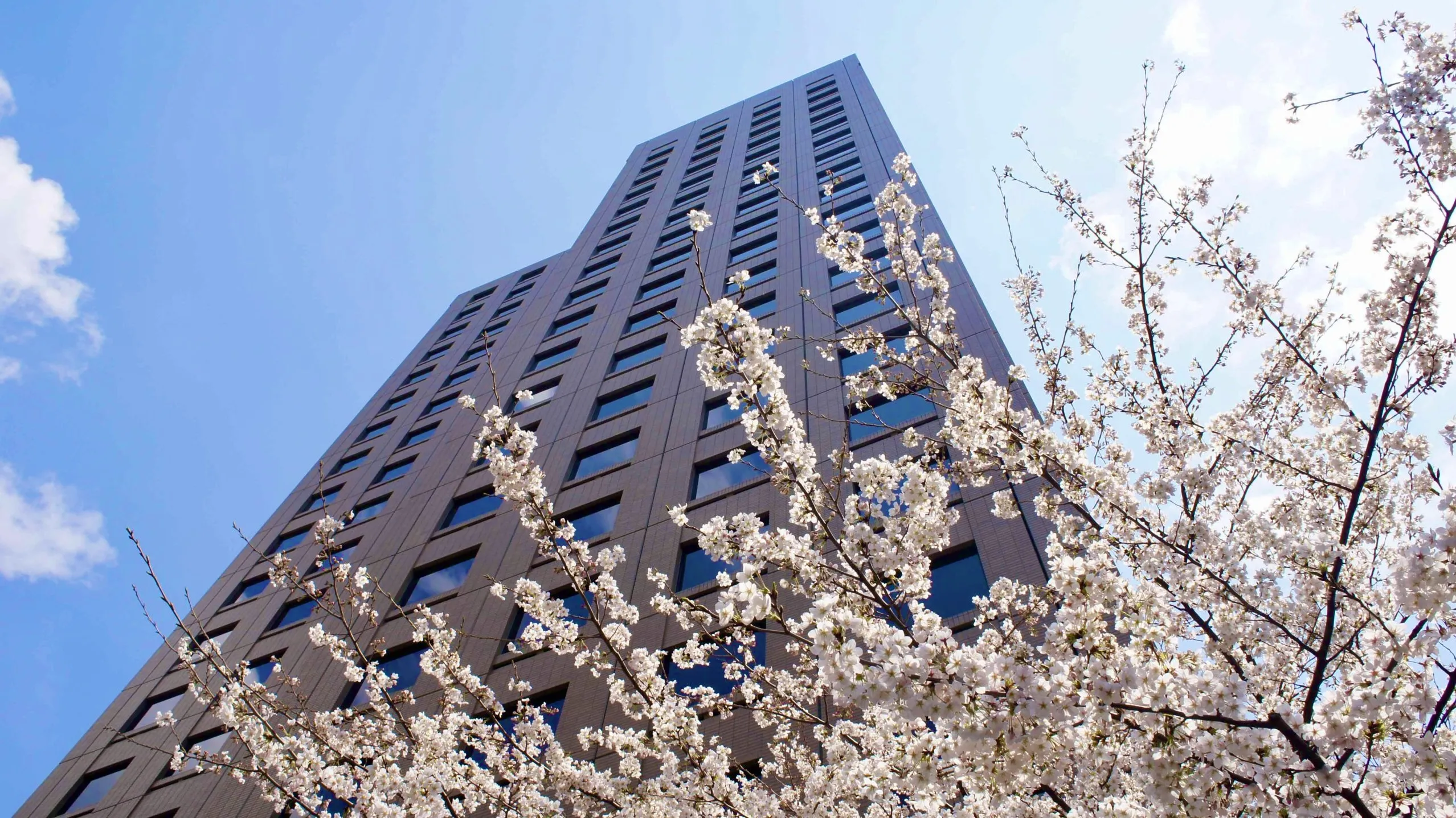 【特別企画】自衛隊 × 看護師のメインイメージ